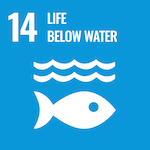 icon for sustainable development goal number 14 life below water